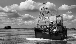 平台在线ddos压力测试