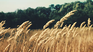 小黑ddos压力测试平台