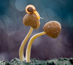 零占用不卡顿的ddos服务器攻击手段